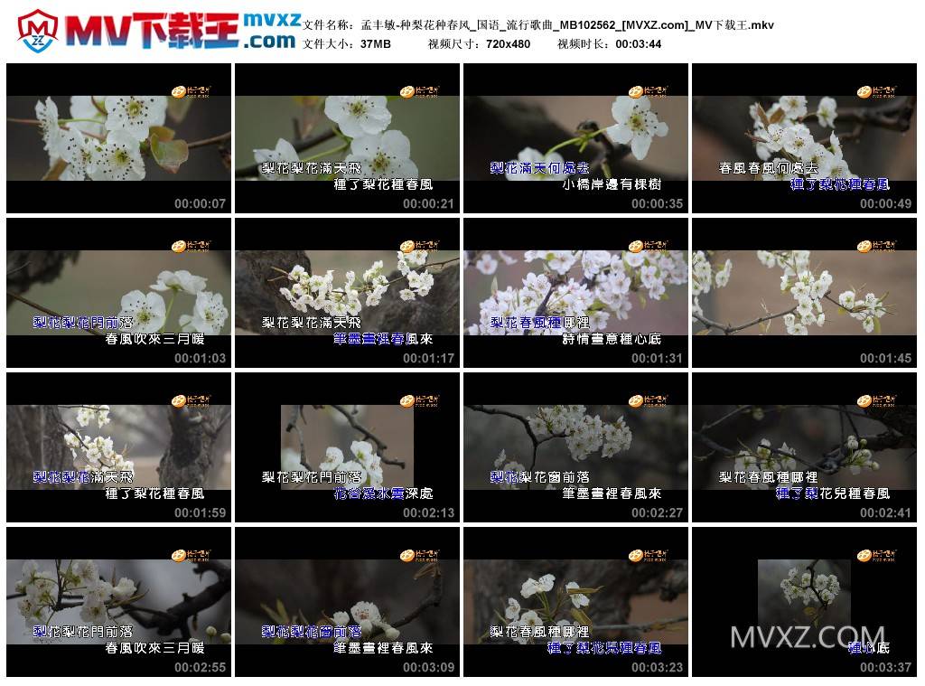 孟丰敏-种梨花种春风_国语_流行歌曲_MB102562